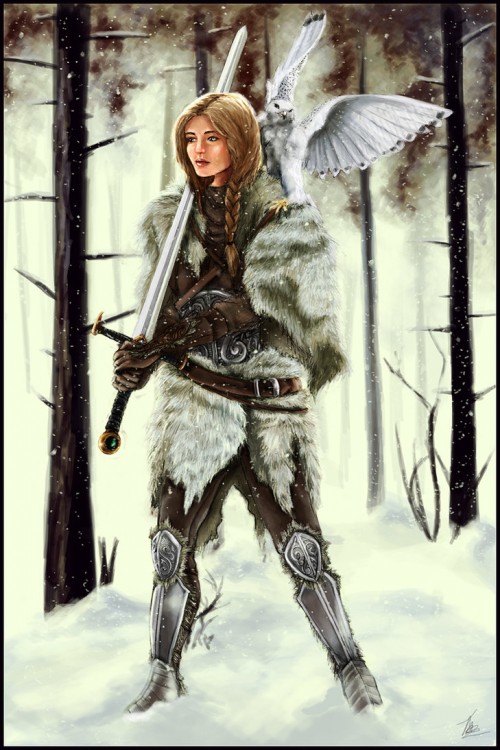 Winter_Warrior_by_tansy9.jpg