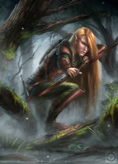 Mira elven archer by wwysocki d6
