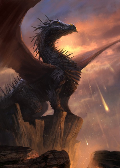 Fire dragon by gerezon d6798tg