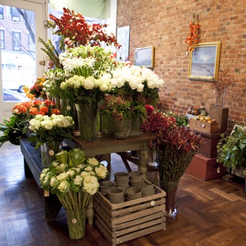 Estefany's Flower Shop