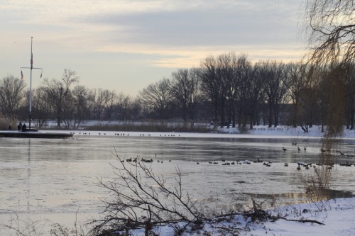 Baisley Pond Park