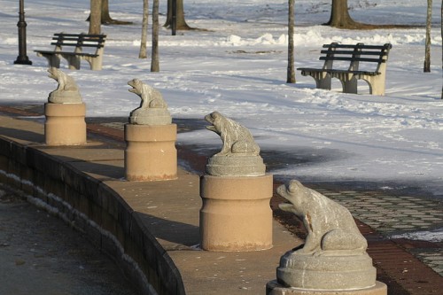 Baisley Pond Park (Queens) Stone Frogs