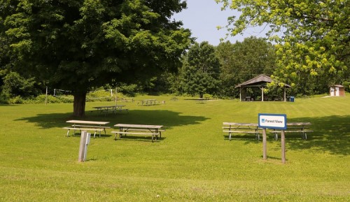 GLEN HAFFY PICNIC AREA