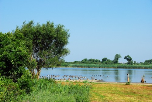 Jamaica Bay Wildlife Refuge