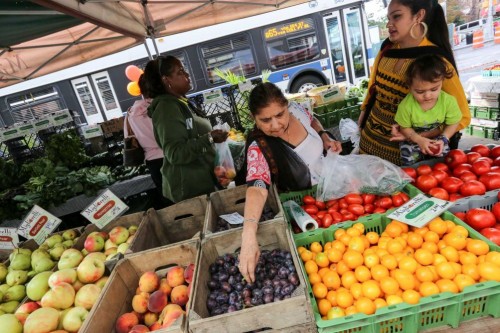 Jamaica Farmers' Market