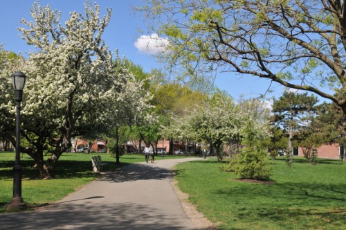 Juniper Valley Park