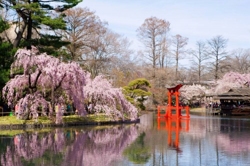 Brooklyn-Botanic-Garden.jpg