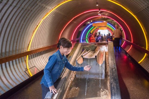 Brooklyn Children's Museum