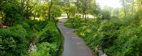 Nethermead-Arches.jpg