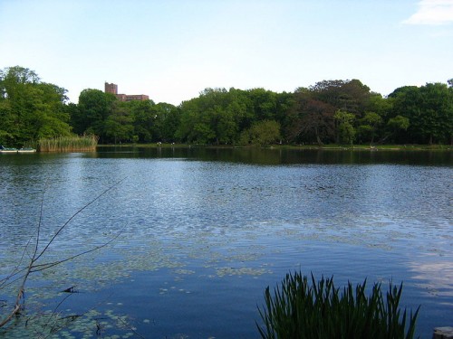 Prospect-Park-lake.jpg