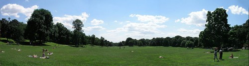 The Long Meadow