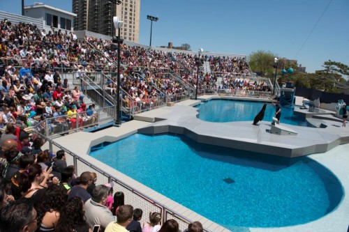 The New York Aquarium 2