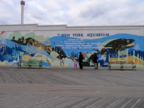 The New York Aquarium