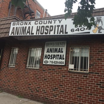 Bronx-County-Animal-Hospital.jpg