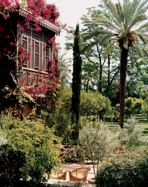 Vogue Garden