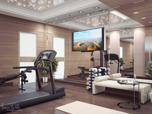 stylish-home-gym.jpg