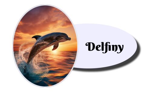delfiny1.png