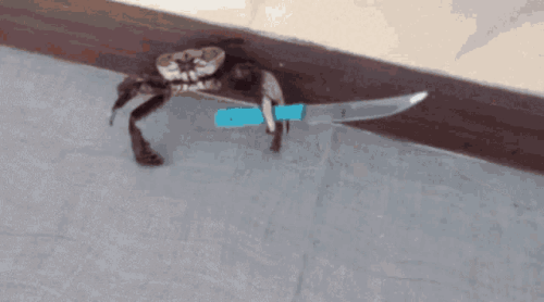 a69cb23ff444c9e80b5d79967201ed96.gif