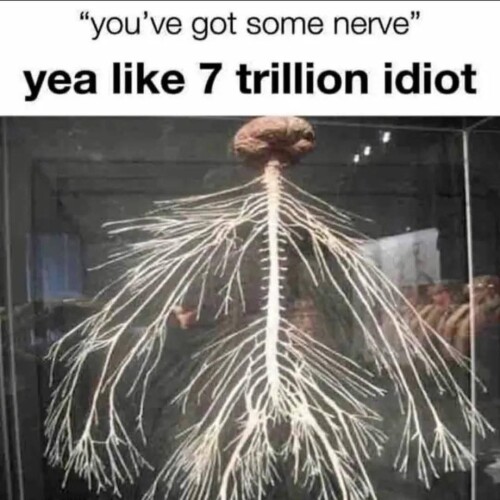 4a755b832efa055308b81d03574e24a4.jpeg
