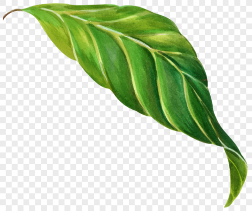 54a443ac767ea5b84da2015d6fbab822.png