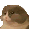 3fe5daeb345158055389b14fc610a217.gif
