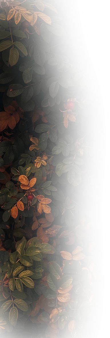 54c6396b3c399f1ebb1594a5c042a903.png