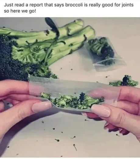 23d9e2a144364d4b8d6e3e3cb648e978.png