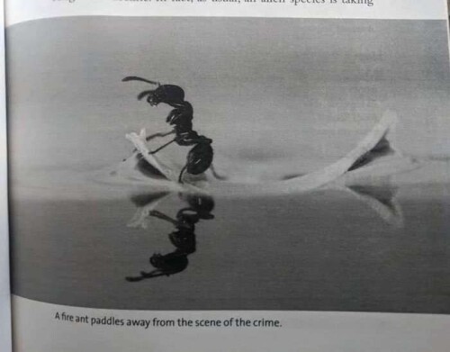 3549f670ee765cd0e2c7afce8051e73e.jpeg