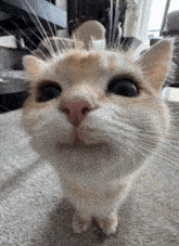 2745e2a09edb9497cdc4252a79fb3b6e.gif