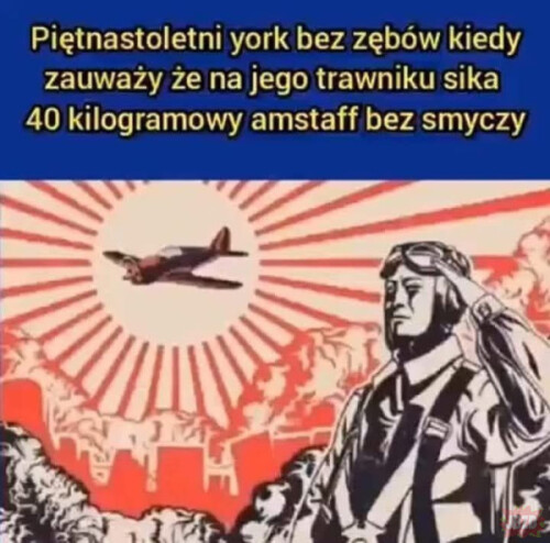 fe6ad58ca507c968f78983c10d34e601.jpeg