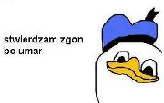 70a143d126d1b86b527a7994d290c7fe.jpeg