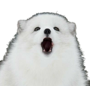 9315d1a43a8200f2f184c47793133014.png