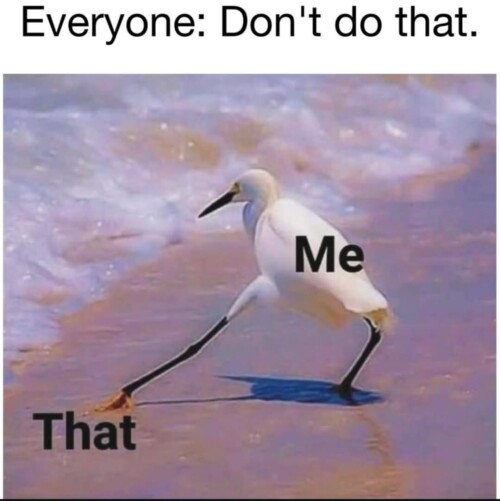 f556941e3f70225c68098b308d7028b9.jpeg