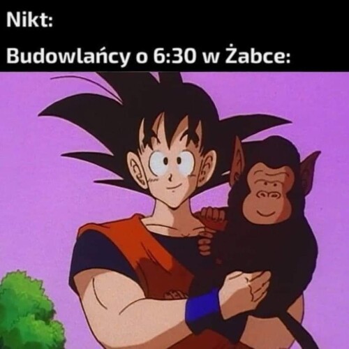 58df6b9e0815a5fdd6426fbcbd36b2a9.jpeg