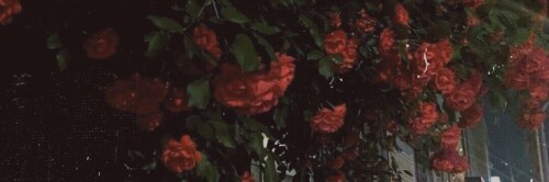 5744179c9df7e6ea01c3a0cc49d82a88.jpeg