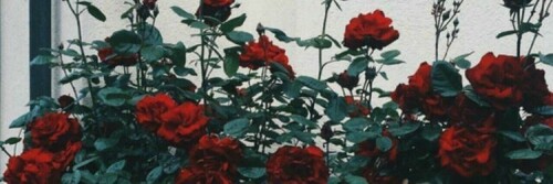 9d4738ba27ad85e62be83ec40e31a931.jpeg