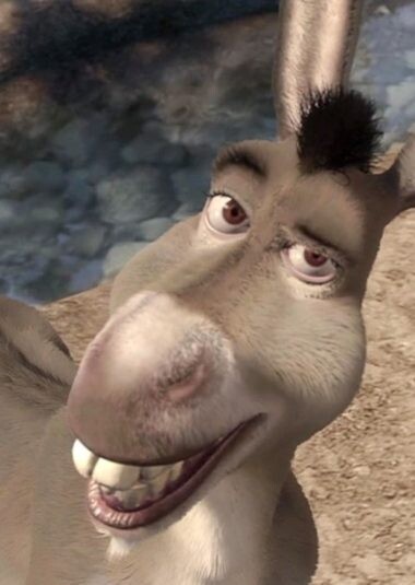 5cbbc4c70e31b4c8f3b60183bcabea17.jpeg