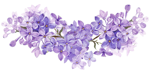 37a049dd08b685ae22296c78f0319dc5.png