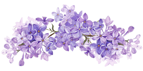 4c83a931a911fd268619a8ede029c581.png