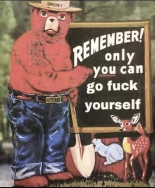 9a2e521b6cbecd85005e01cfb12a138f.jpeg
