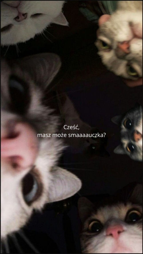 2a75918d51648be266d19f903a68d45b.png