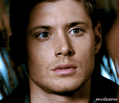 f8f9f0392d5d253fe4ae79d9285d452e.gif