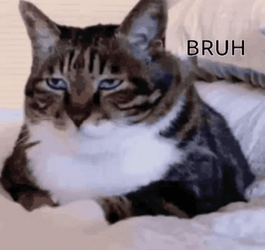 514a9cee37b216a64aebce2d05f775f9.gif