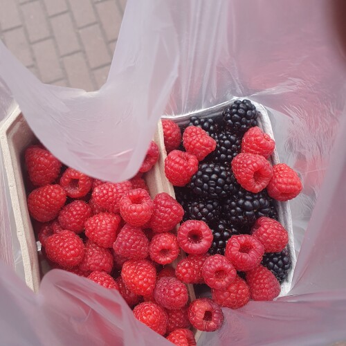7ea59a1f60d46becf9ea2d11df6f36fe.jpeg