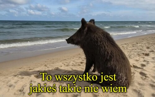 0908661c00d18d56950d563708353555.jpeg