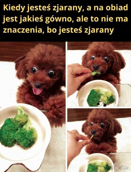 b94456bcde2736649435320d3d9fd232.jpeg