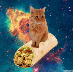 86620299ea01eec2337e8247a6ae96df.gif