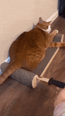 fa1632e7f0d8a08d0cb43e5252c2c230.gif