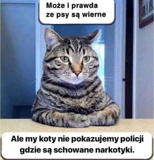 ee905533d6715fc66ec4460e1e30e88a.jpeg