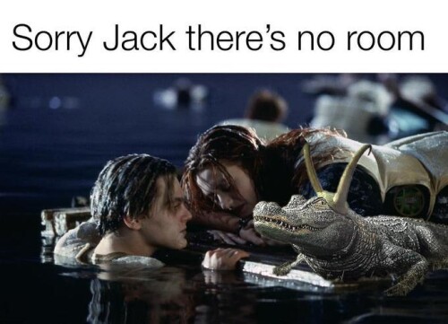 f1e874c6326c959e0503716a0a640294.jpeg